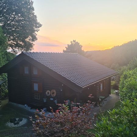 Chalet Spessart Dammbach Exterior photo