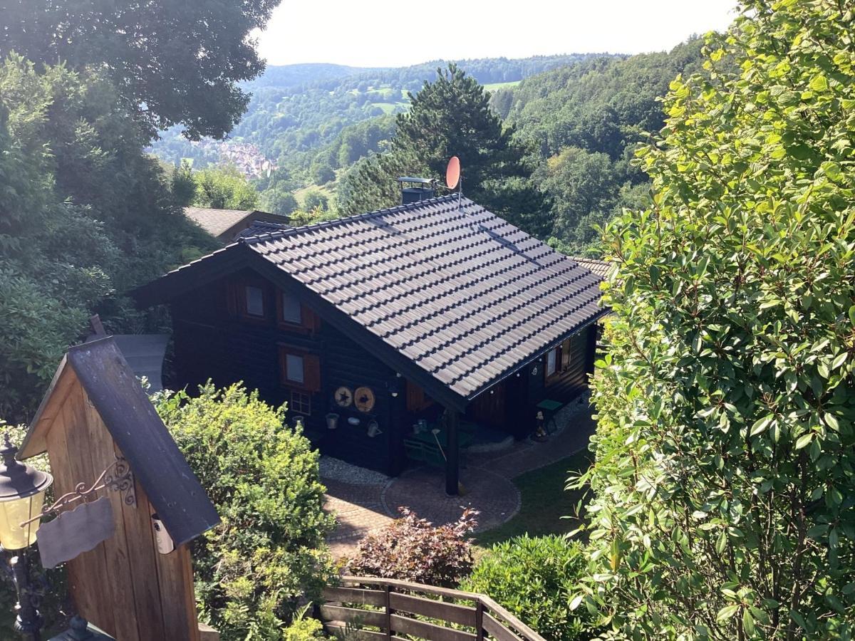 Chalet Spessart Dammbach Exterior photo