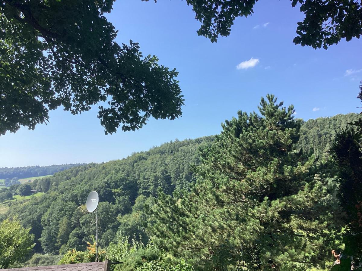 Chalet Spessart Dammbach Exterior photo